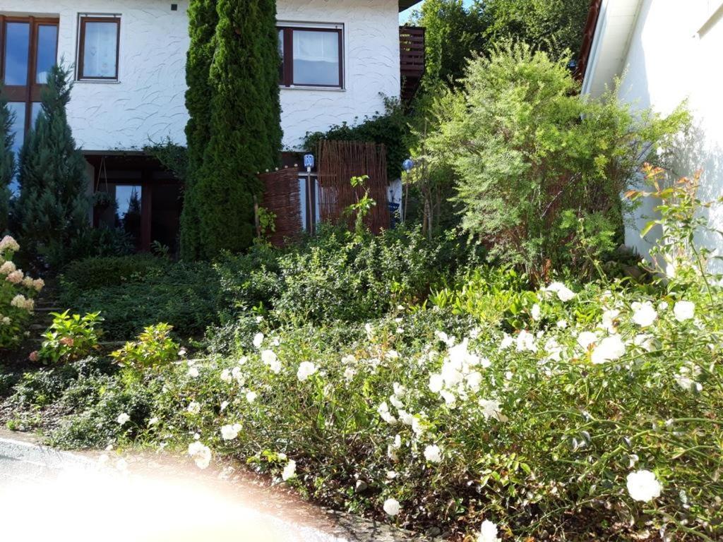 Ferienwohnung Rosa Mueller Wangen im Allgäu Exterior foto